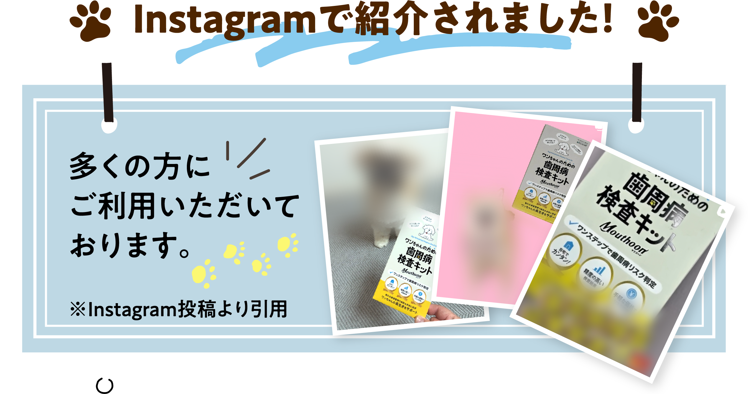 【Instagramで紹介されました！】多くの方にご利用いただいております。※Instagram投稿より引用