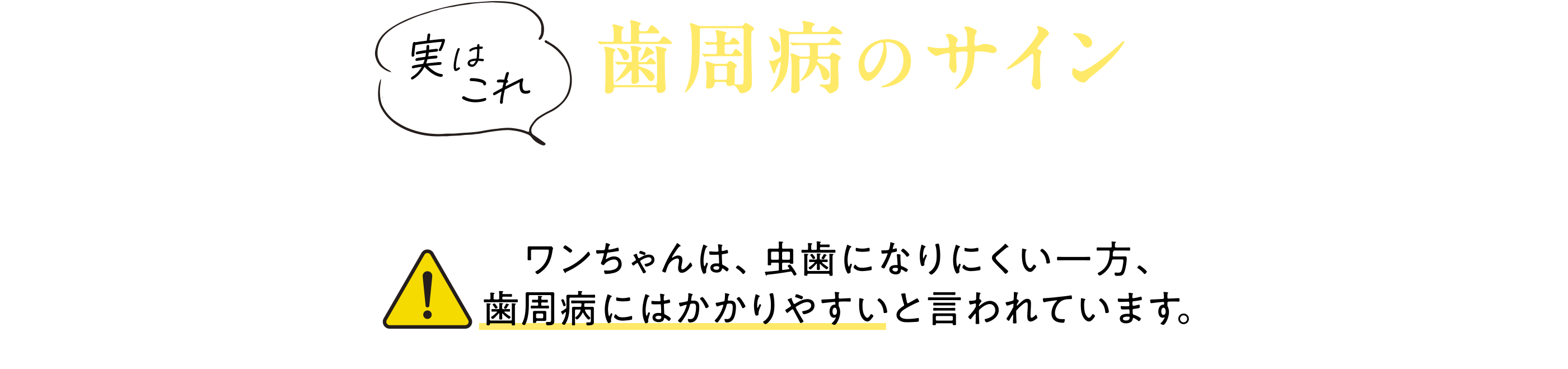 実はこれ歯周病のサインかもしれません･･･！ワンちゃんは、虫歯になりにくい一方、歯周病にはかかりやすいと言われています。