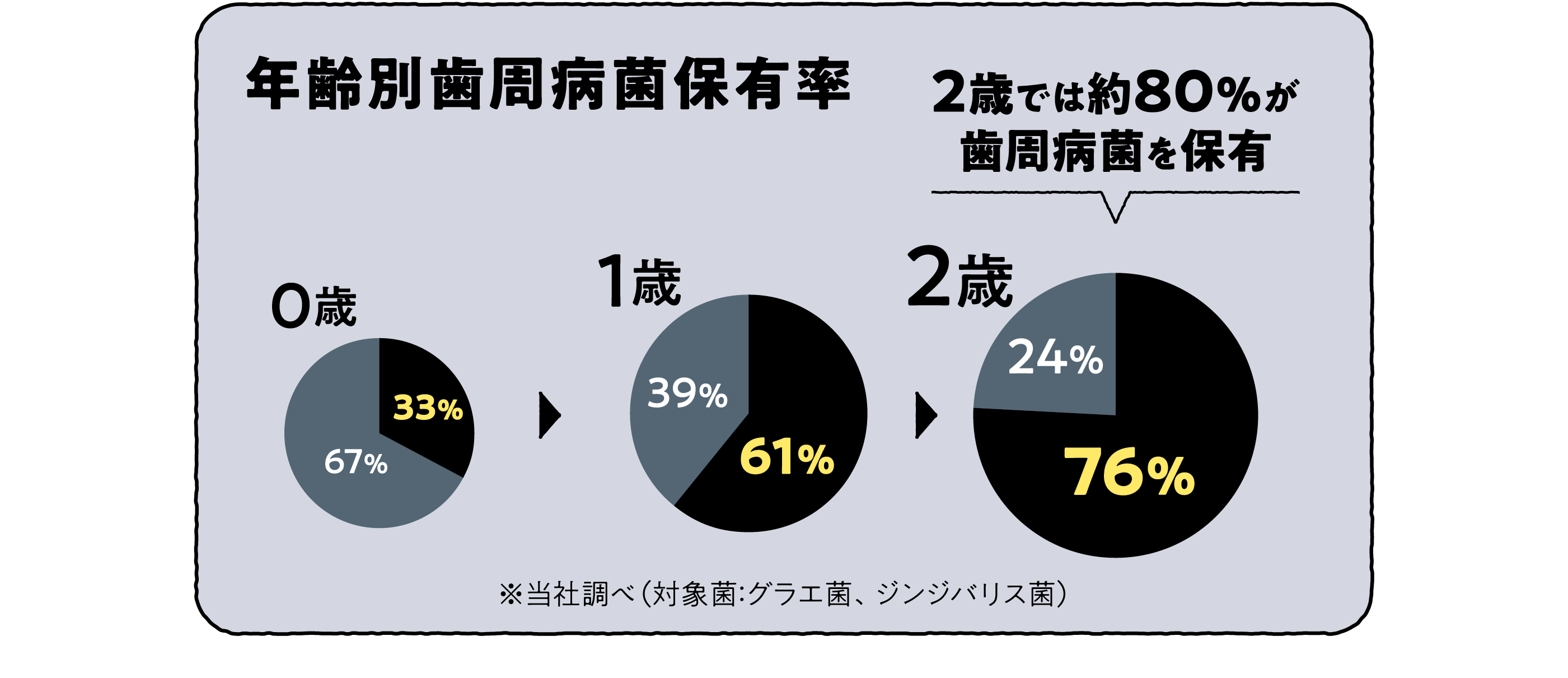 【年齢別歯周病菌保有率】2歳では約80％が歯周病菌を保有※当社調べ（対象菌：グラエ菌、ジンジバリス菌）
