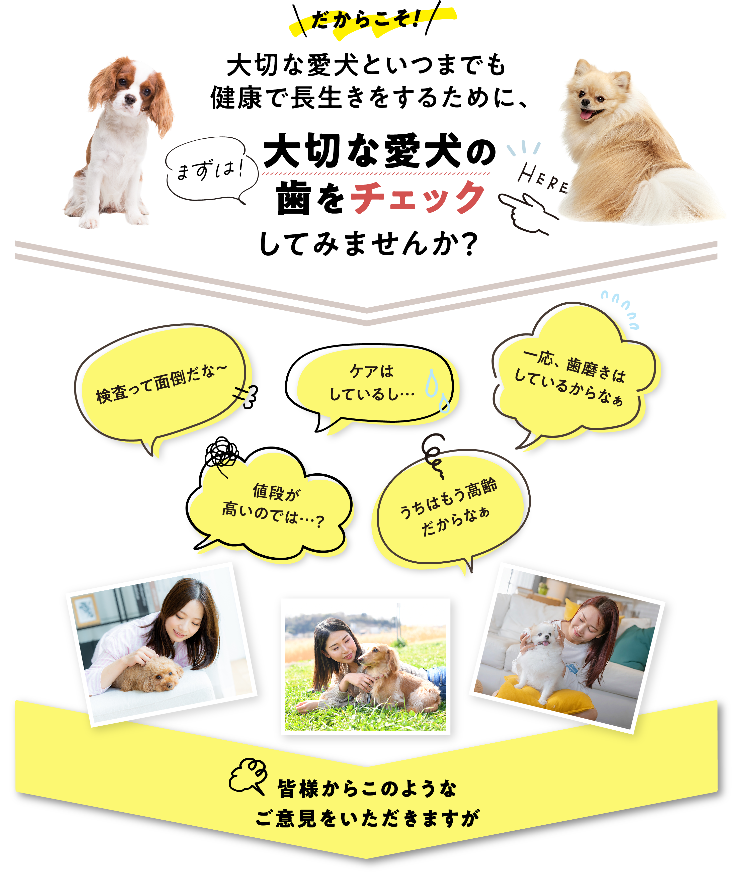 だからこそ！大切な愛犬といつまでも健康で長生きをするために、まずは！大切な愛犬の歯をチェックしてみませんか？検査って面倒だな〜 / ケアはしているし… / 一応、歯磨きはしているからなぁ / 値段が高いのでは…？ / うちはもう高齢だからなぁ